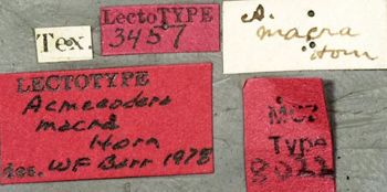 Media type: image;   Entomology 8022 Aspect: labels